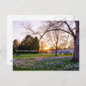 Botanischer Garten in Sheffield Postkarte (Vorne/Hinten)