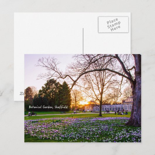 Botanischer Garten in Sheffield Postkarte (Vorne/Hinten)