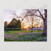 Botanischer Garten in Sheffield Postkarte (Vorderseite)