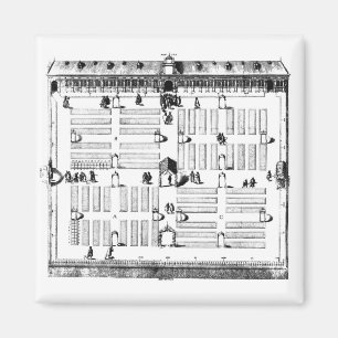 Botanischer Garten Leiden (Gravur) (b/w Foto) Magnet