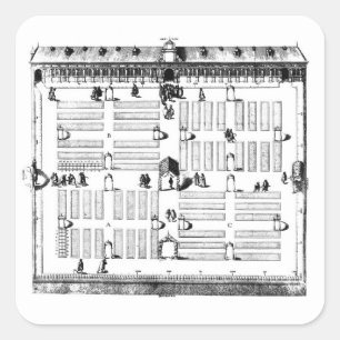 Botanischer Garten Leidens (Stich) (b/w Foto) Quadratischer Aufkleber