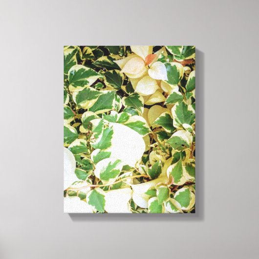 Botanischer Garten Leinwanddruck (Vorderseite)