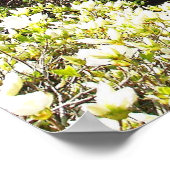 Botanischer Garten Missouri Poster (Ecke)