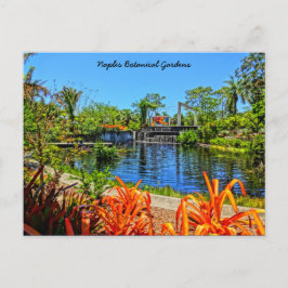 Botanischer Garten Neapel Florida - Mauerwerk Postkarte