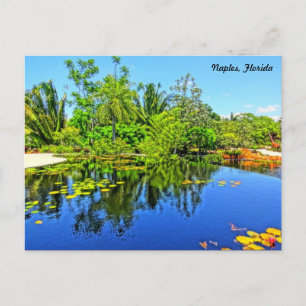 Botanischer Garten Neapel Florida - Überlaufpool Postkarte