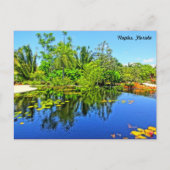 Botanischer Garten Neapel Florida - Überlaufpool Postkarte (Vorderseite)