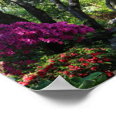 Botanischer Garten, Pfad, Ahornbäume Poster (Ecke)