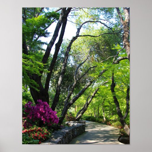 Botanischer Garten, Pfad, Ahornbäume Poster (Vorne)