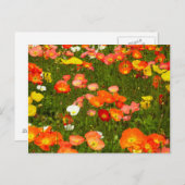 Botanischer Garten Postkarte (Vorne/Hinten)