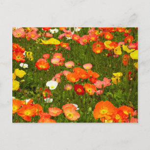 Botanischer Garten Postkarte