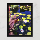 Botanischer Garten Postkarte (Vorderseite)