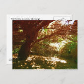 Botanischer Garten Postkarte (Vorne/Hinten)