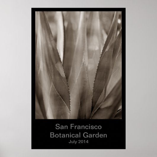 Botanischer Garten San Francisco #1 Poster (Vorne)