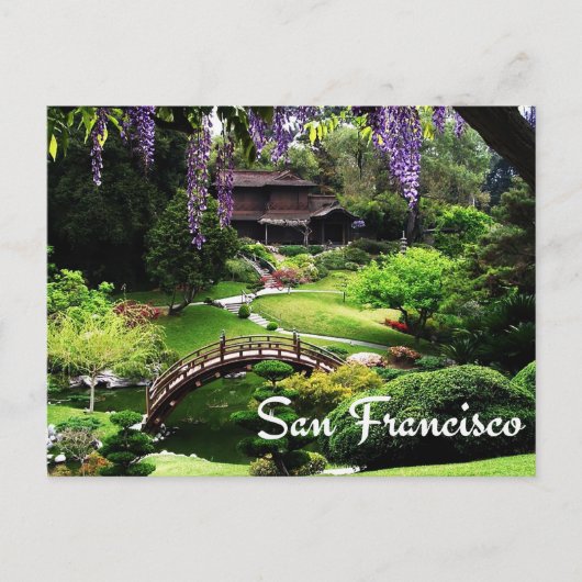 Botanischer Garten, San Francisco Kalifornien, USA Postkarte (Vorderseite)