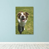 Botanischer Garten, Sydney, New South Wales, 2 Leinwanddruck (Insitu (Holzboden))