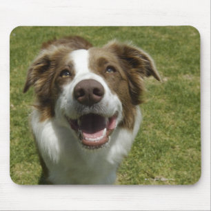 Botanischer Garten, Sydney, New South Wales, 2 Mousepad