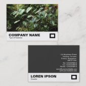 Botanischer Garten Visitenkarte (Vorne/Hinten)