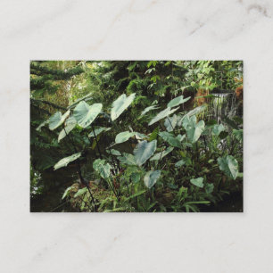 Botanischer Garten Visitenkarte
