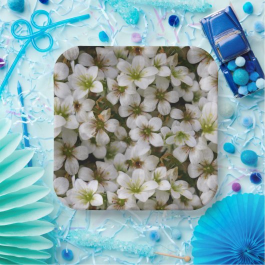 Botanischer Garten Weiße Blume Pappteller (Party)