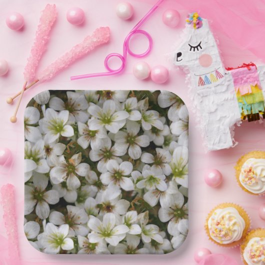 Botanischer Garten Weiße Blume Pappteller (Party)