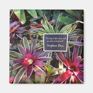 Botanischer GartenStephen Dias Neapels Florida Magnet