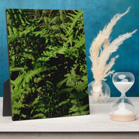 Botanischer grüner Waldboden Ferns Fotoplatte (Seite)