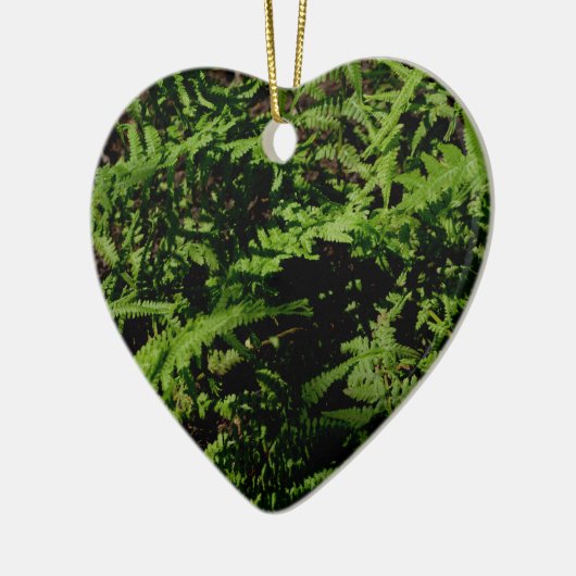 Botanischer grüner Waldboden Ferns Keramik Ornament (Links)