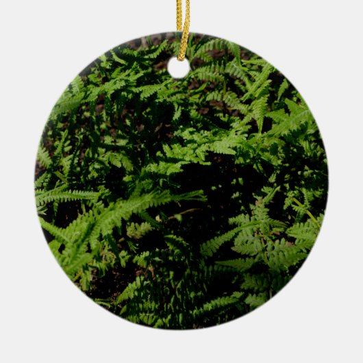 Botanischer grüner Waldboden Ferns Keramik Ornament (Vorne)