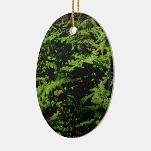 Botanischer grüner Waldboden Ferns Keramik Ornament (Links)