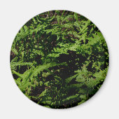 Botanischer grüner Waldboden Ferns Magnet (Vorne)