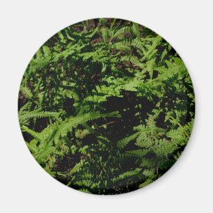 Botanischer grüner Waldboden Ferns Magnet