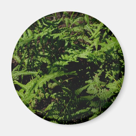 Botanischer grüner Waldboden Ferns Magnet (Vorne)