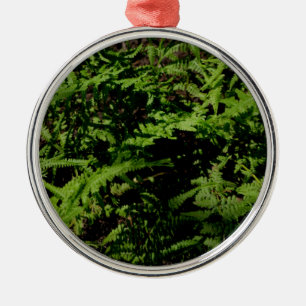Botanischer grüner Waldboden Ferns Silbernes Ornament