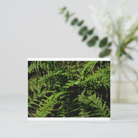 Botanischer Grünwaldfußboden Ferns Postkarte (Stehend Vorderseite)