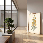 Botanischer Helichrysum Vintage-Kunstdruck Poster