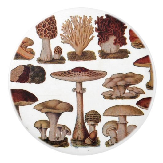 Botanischer Holzdruck Vintager Pilz Keramikknauf (Vorderseite)