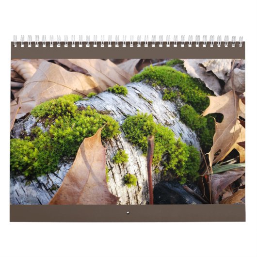 Botanischer Kalender (Titelbild)