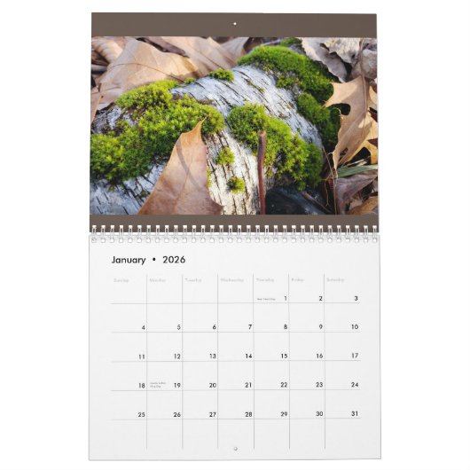 Botanischer Kalender (Jan 2026)