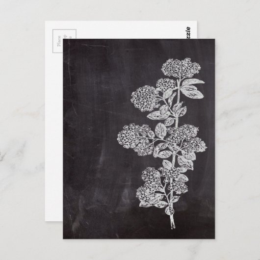 Botanischer Kalkbrett mit Bohemischem Chic, franzö Postkarte (Vorne/Hinten)