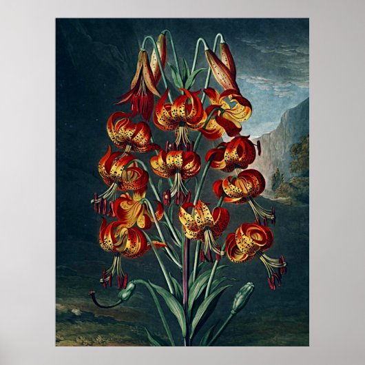 Botanischer Kunsttempel Flora Fantastische Lily Poster (Vorne)