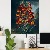 Botanischer Kunsttempel Flora Fantastische Lily Poster (Heimbüro)