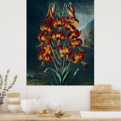 Botanischer Kunsttempel Flora Fantastische Lily Poster (Küche)
