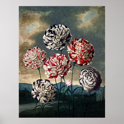 Botanischer Kunsttempel Poster (Vorne)