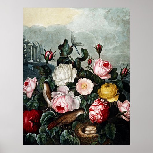 Botanischer Kunsttempel Rose Poster (Vorne)
