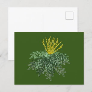 Botanischer Mahonia-Strauch Handgezeichnet  Grün Postkarte
