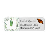 Botanischer Monarch Butterfly und Chrysalis (Vorne)