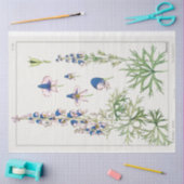 Botanischer Monkshood Seidenpapier (Basteln)