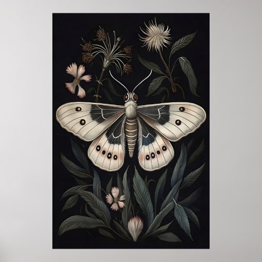 Botanischer Motten-Kunstprint, Vintage-Schmetterli Poster (Vorne)