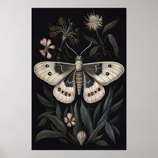 Botanischer Motten-Kunstprint, Vintage-Schmetterli Poster (Vorne)