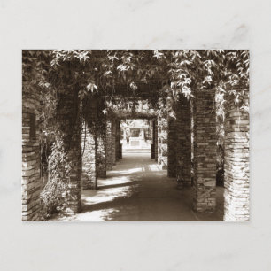 botanischer Pfad Postkarte